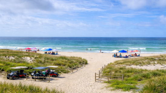 Adventurous Island Beach with family enjoying high waves, photorealistic surf fun.